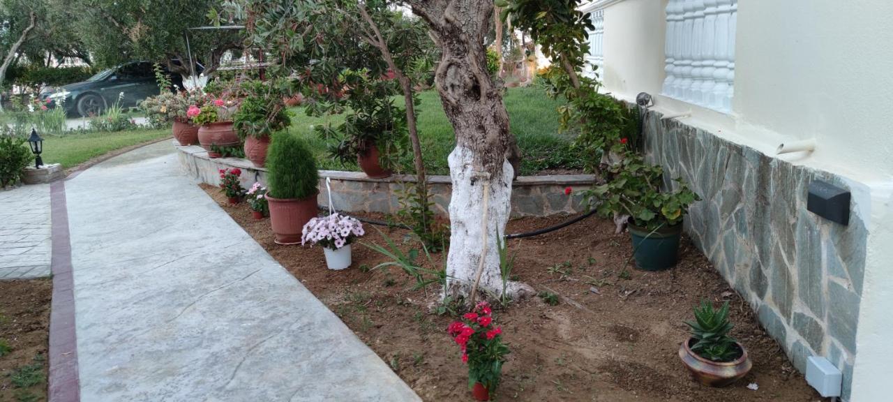 Zante Summer Retreats - Marietta'S Apartment2 Drosia Kypseli Dış mekan fotoğraf