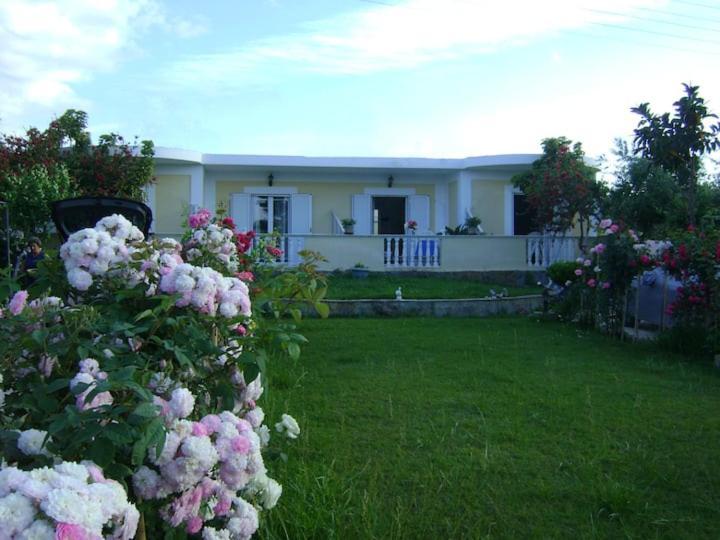 Zante Summer Retreats - Marietta'S Apartment2 Drosia Kypseli Dış mekan fotoğraf